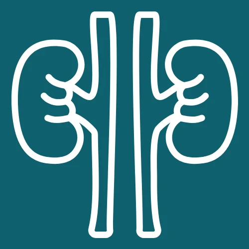 KIDNEY CARE